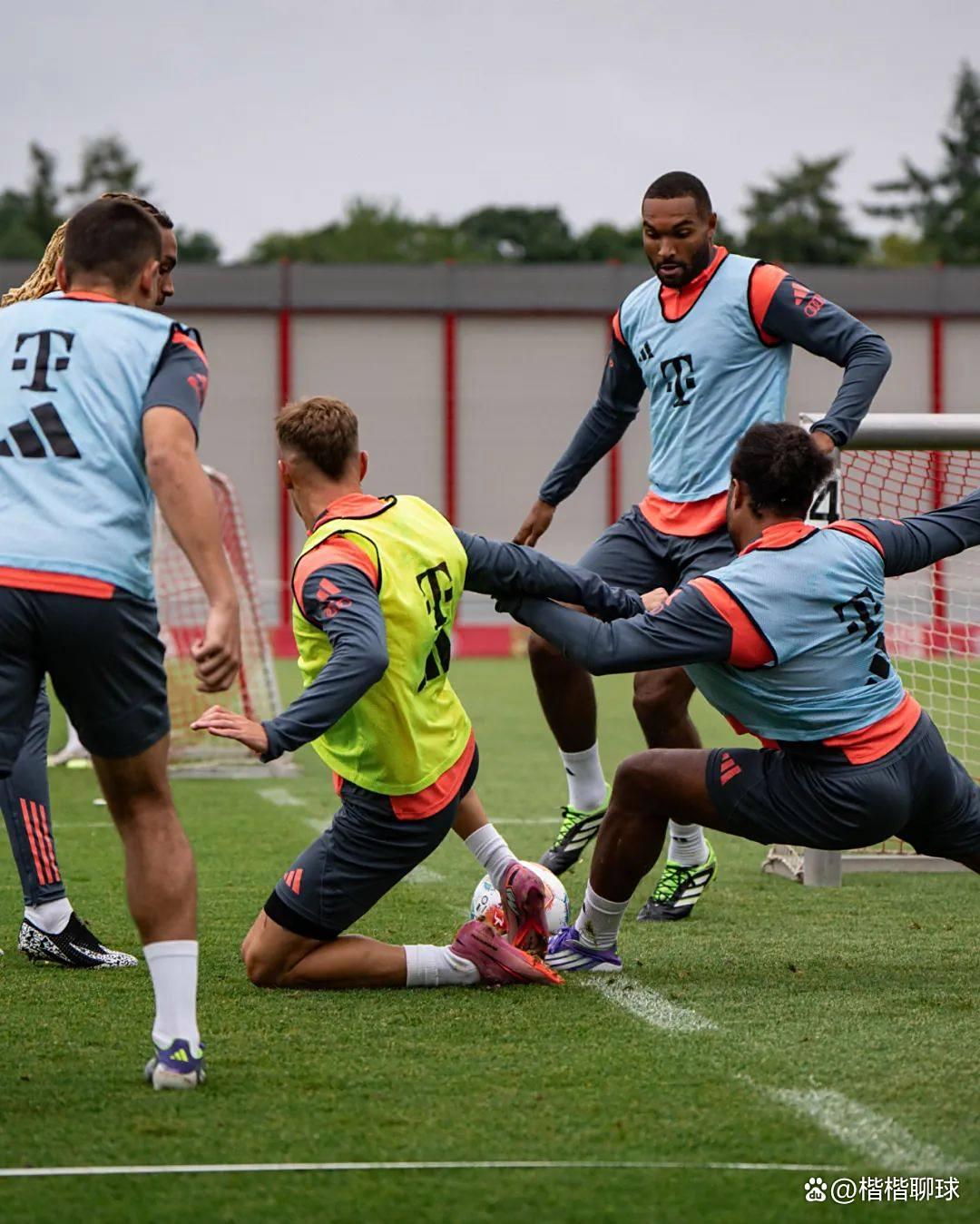 包含德甲今晨再迎强敌，菲尼克斯太阳迎来里程碑，主帅态度：态度坚定，数据趋势出现新变化的词条